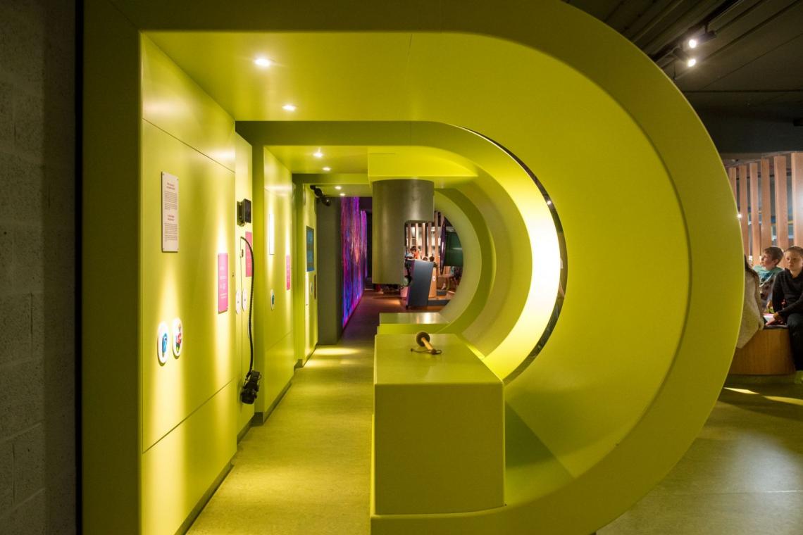 sensoriel musée thématique sens houtopia visite école famille enfants activités espace intérieur indoor - Houtopia