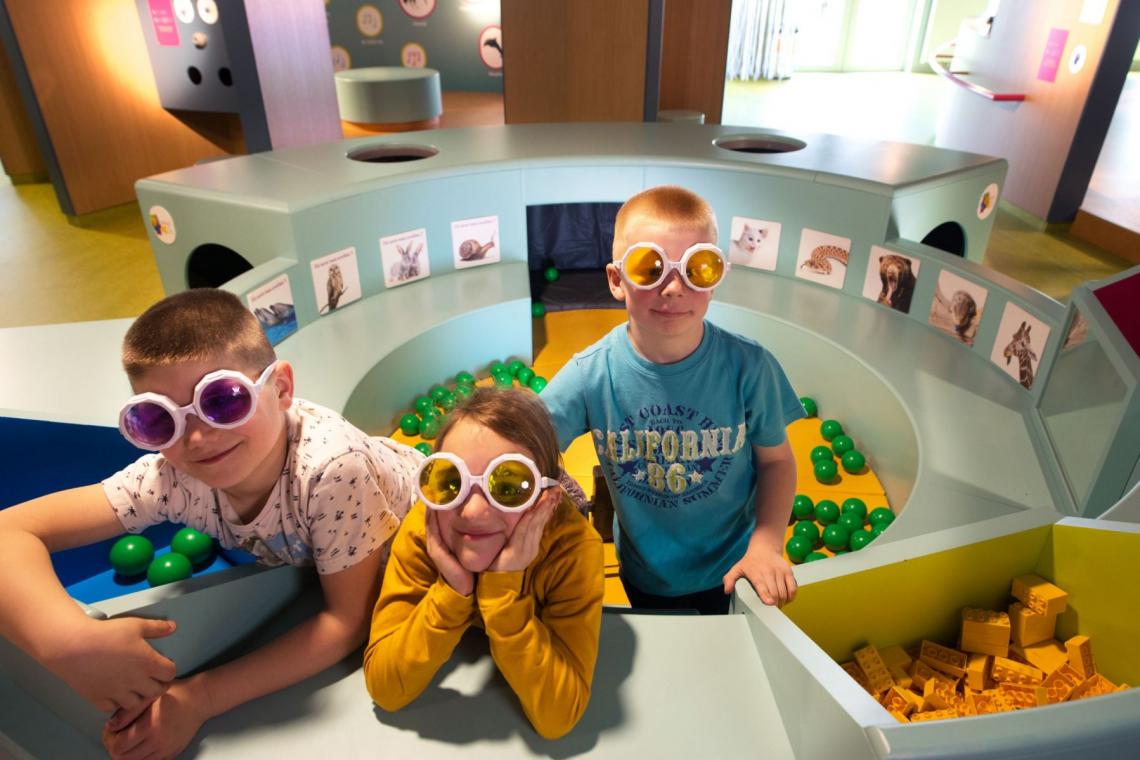 sensoriel musée thématique sens houtopia visite école famille enfants activités espace intérieur indoor - Houtopia