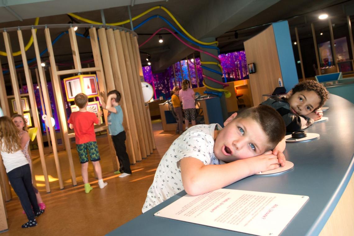 sensoriel musée thématique sens houtopia visite école famille enfants activités espace intérieur indoor - Houtopia
