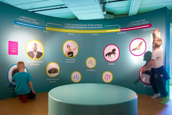 Houtopia Spielplatz im Freien