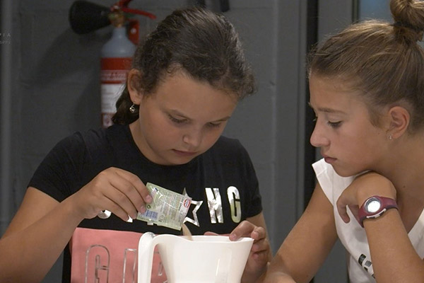 Houtopia - Mikroorganismen